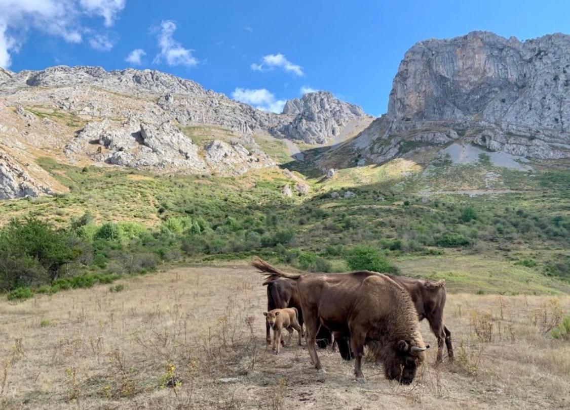 Los Toriles Los Espejos de la Reina Dış mekan fotoğraf